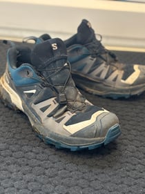 Dog Proof/Waterproof Hiking Shoes: Salomon X Ultra 360